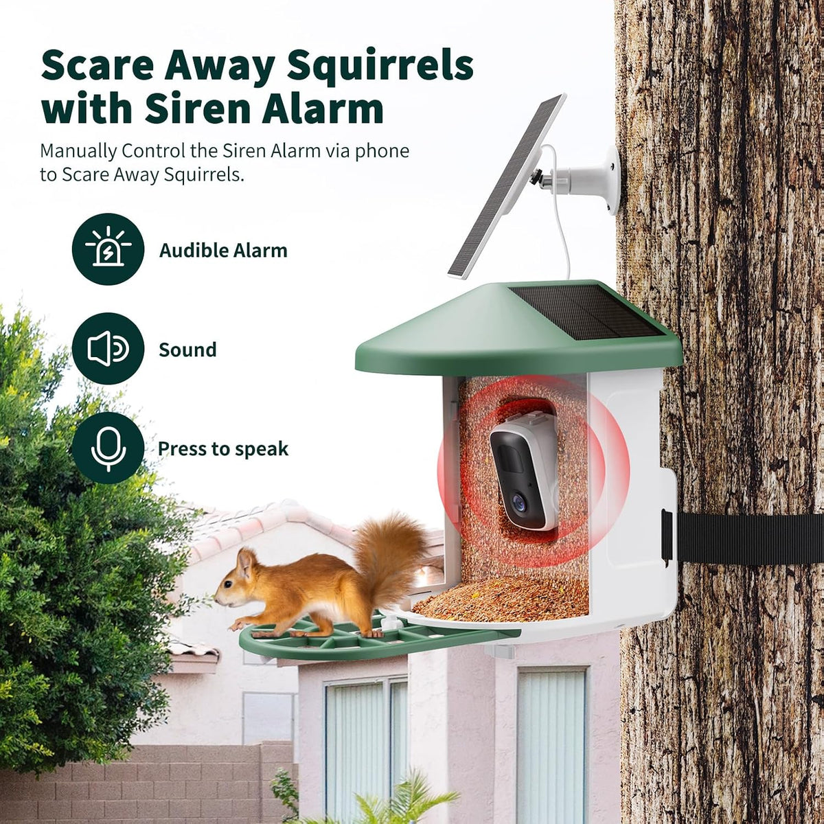 Smart Solar Bird Feeder with 2K Camera & AI Bird ID
