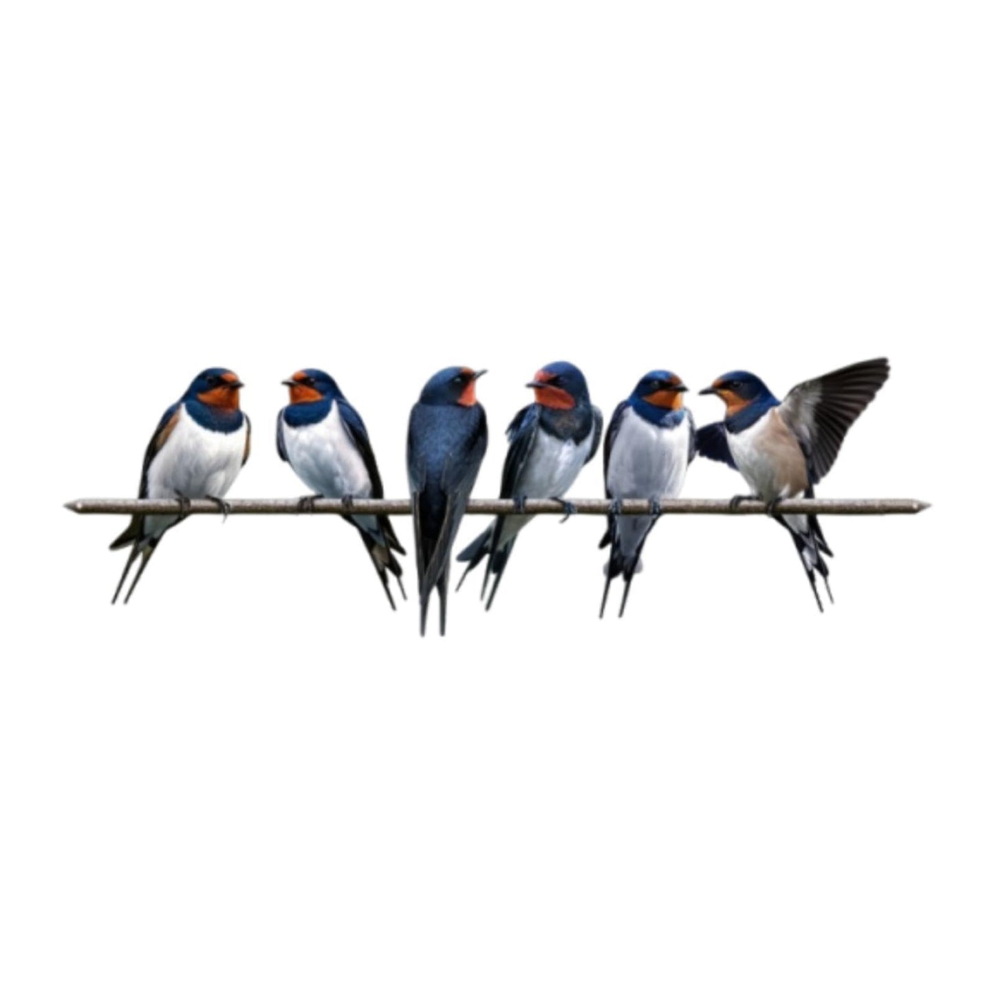🐦Metal Birds on Branch Wall Decor Sculpture for Home, Indoor Patio