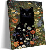 Black cat
