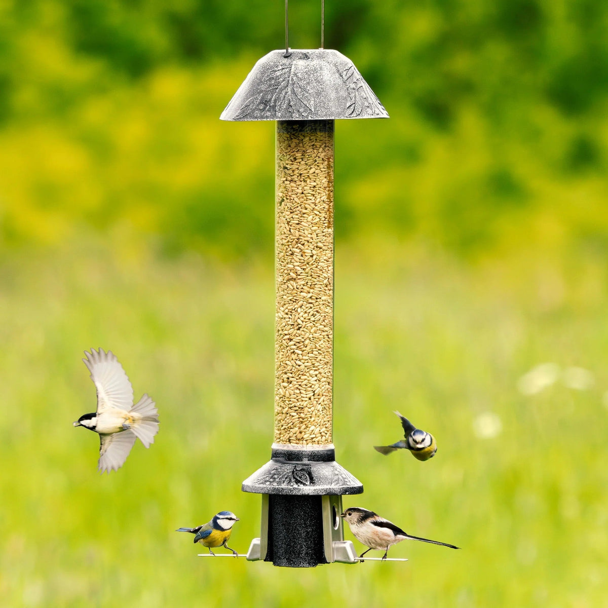 🐦Squirrel-Proof Bird Feeder 2.0 – Antique Platinum Finish