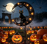 Pumpkin B