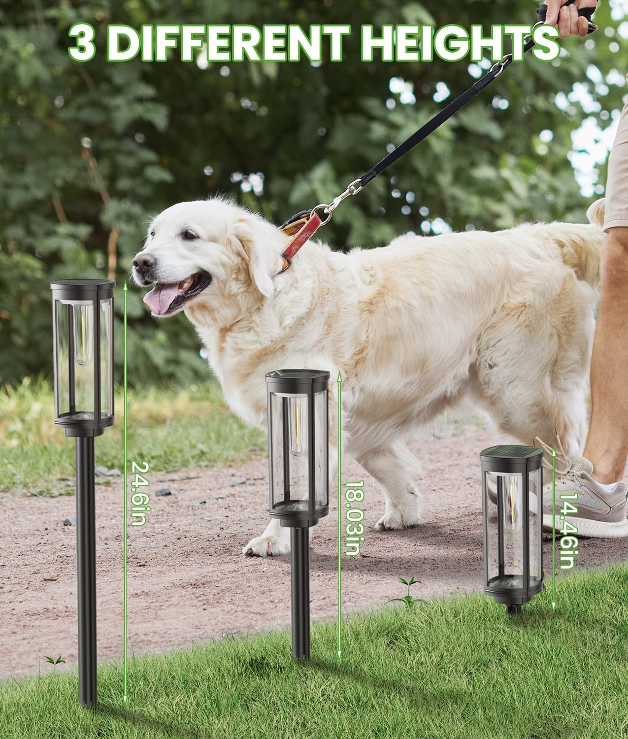 Solar Pathway Lights for Garden & Yard