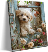 Teddy