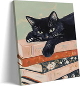 Black cat sleeping