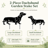 Dachshund Stakes ×2